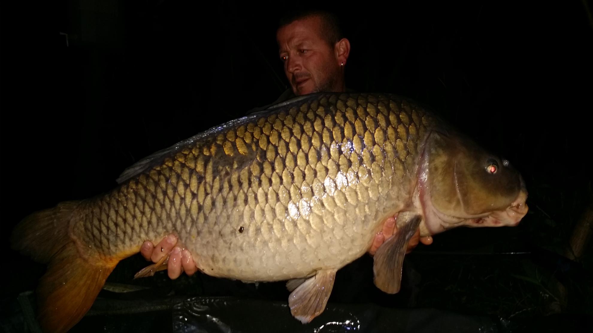 Șiclau 2015  - 20150622011129.jpg